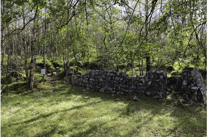 Operation Freshman 1942