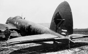 The Rationale behind the Blitz By Steve Richards