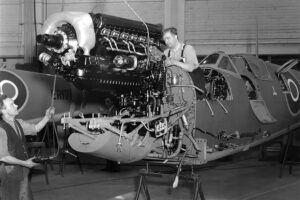 The Rationale behind the Blitz By Steve Richards