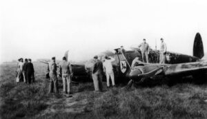 The Rationale behind the Blitz By Steve Richards